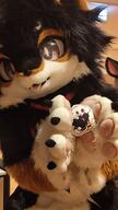 furry fursuit irlfurry life real // 720x1280 // 104KB
